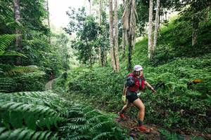 BIB: 
                            <button type="button" onclick="openModal(26408810)" class="btn btn-primary btn-sm float-right btn-popup" data-toggle="modal" data-target=".modal-high-quality">
                        <i class="fas fa-shopping-cart"></i> Add to Cart
                    </button>
                                            <button type="button" onclick="isThisMe(26408810, true)" class="btn btn-success btn-sm float-right btn-popup btn-isme hidden" data-toggle="tooltip" data-placement="bottom" title="นี่คือรูปของคุณใช่ไหม คลิกที่นี่เพื่อเอาเข้าอัลบั้ม">
                        <i class="fas fa-plus"></i> Add to album
                    </button>
                    <button type="button" onclick="isThisMe(26408810, false)" class="btn btn-warning btn-sm float-right btn-popup btn-isnotme hidden">
                        <i class="fas fa-ban"></i> Remove from album
                    </button>